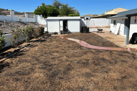 Worn down yard